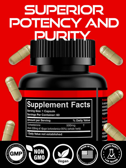 Black Forest Turkesterone 500mg Capsule – 2 Months Supply | Pure 95% Ajuga Turkestanica Extract