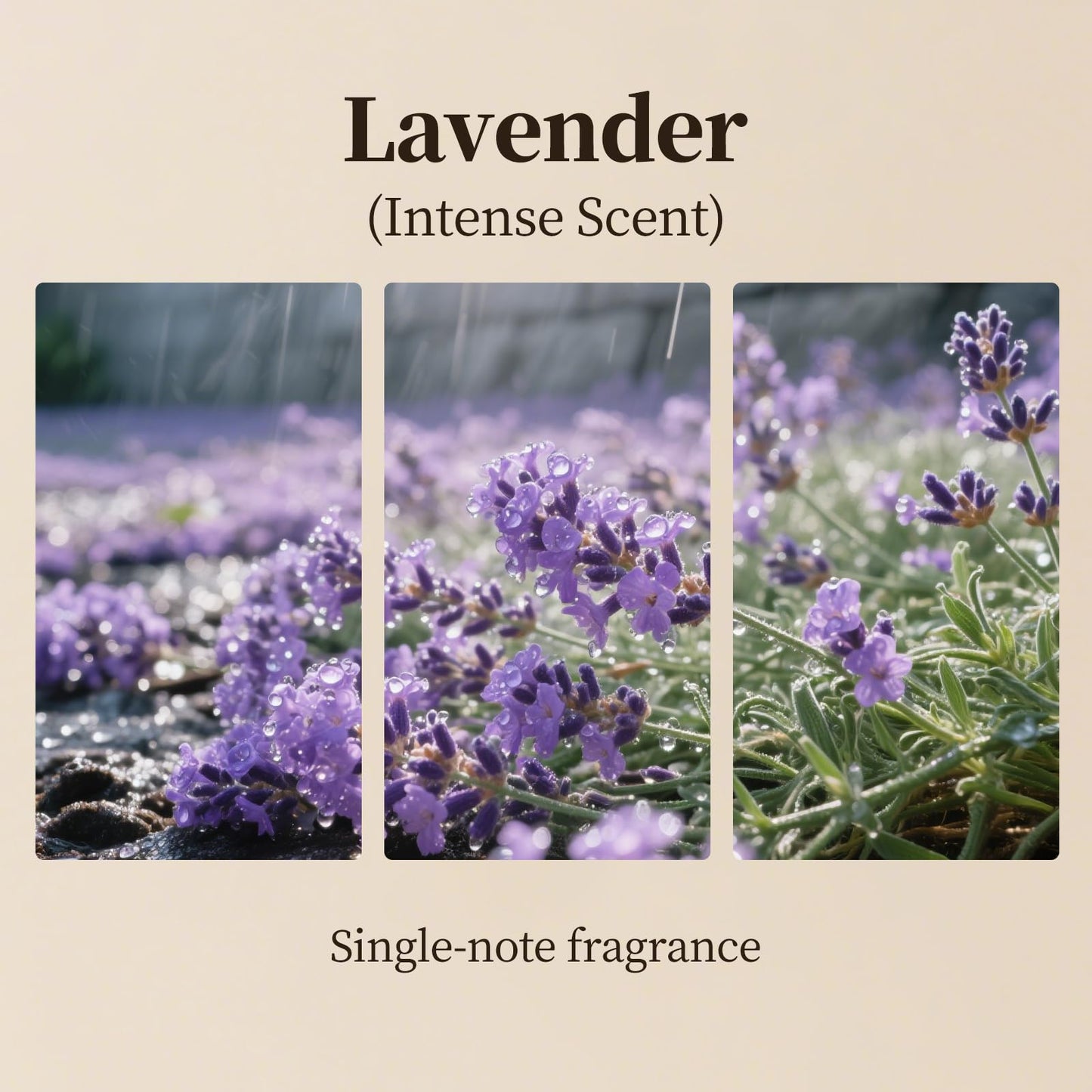 Lavender Fragrance Oil for Diffusers - 500ml | Essential Oil Refill for Reed & Ultrasonic Diffusers, Luxury Hotel Scent
