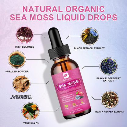 BEWORTHS Sea Moss Liquid Drops – Organic Black Seed Oil (Vegan)