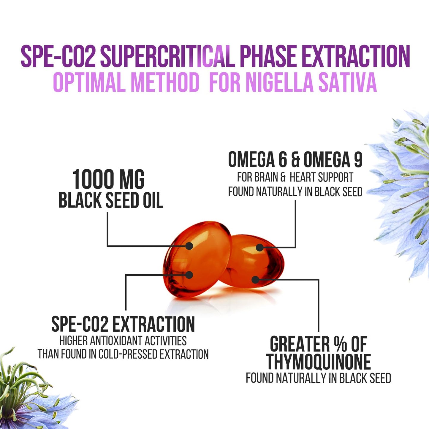 Black Seed Oil Capsules 1000mg with Thymoquinone - Pure Nigella Sativa for Skin Health & Immune Support, 60 Softgels