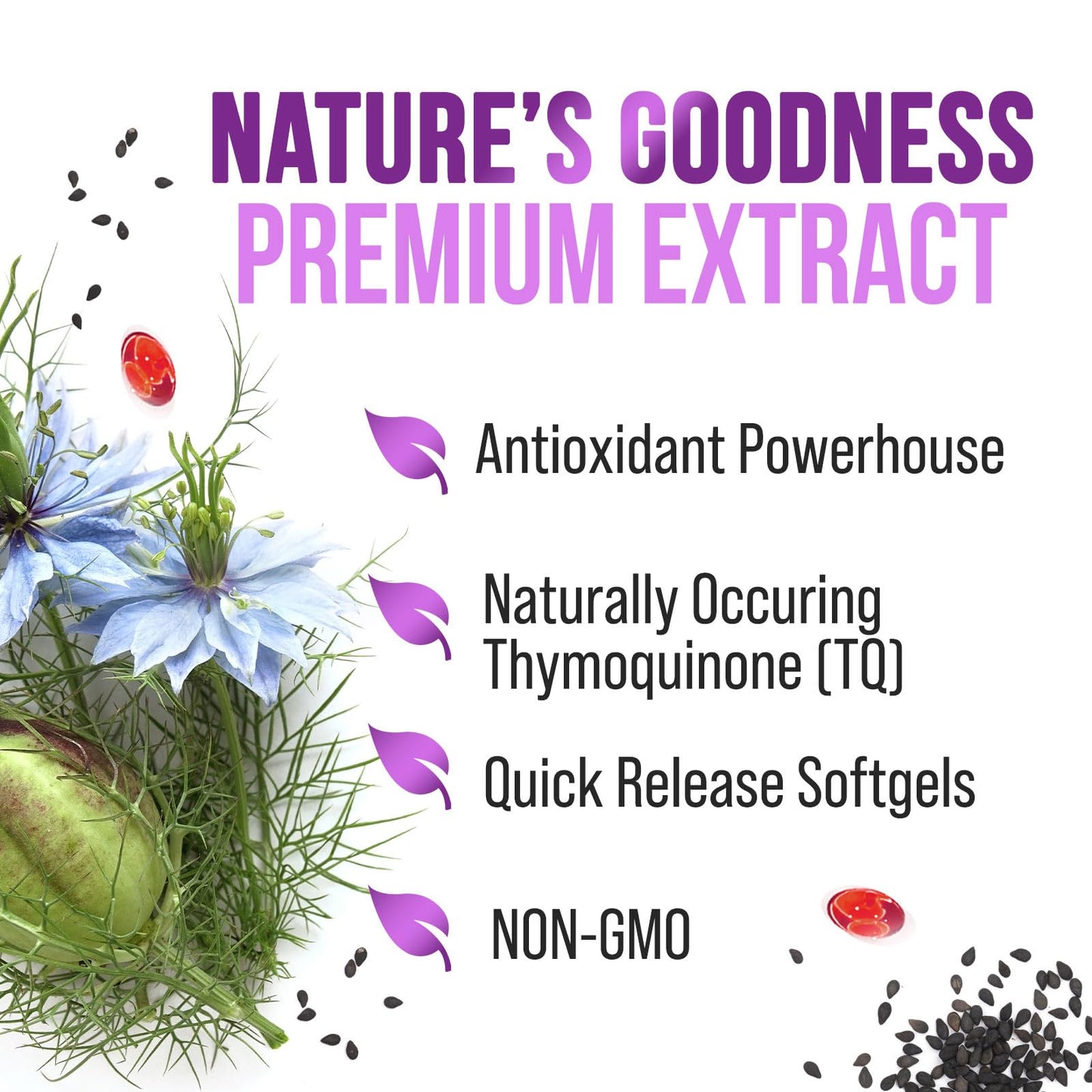 Black Seed Oil Capsules 1000mg with Thymoquinone - Pure Nigella Sativa for Skin Health & Immune Support, 60 Softgels