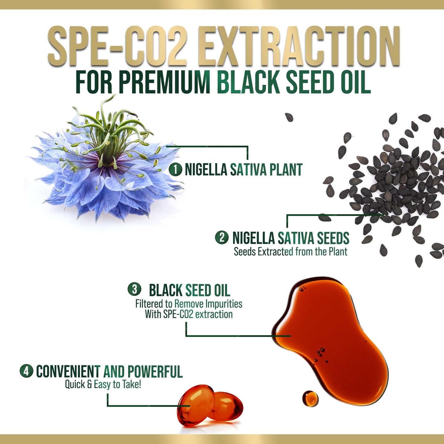 Black Seed Oil Softgels 1000mg | Nigella Sativa (Black Cumin) | Made in USA