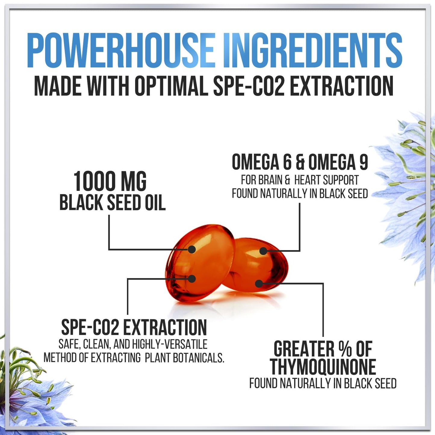 Black Seed Oil Softgels 1000mg – Premium Nigella Sativa Blackseed, Non-GMO, USA Bottled