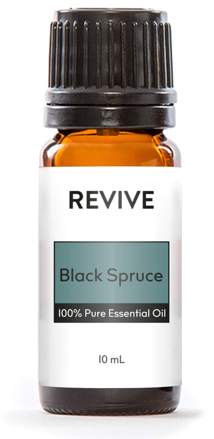 Black Spruce Essential Oil | Revive Essential Oils – 100% Pure Therapeutic Grade