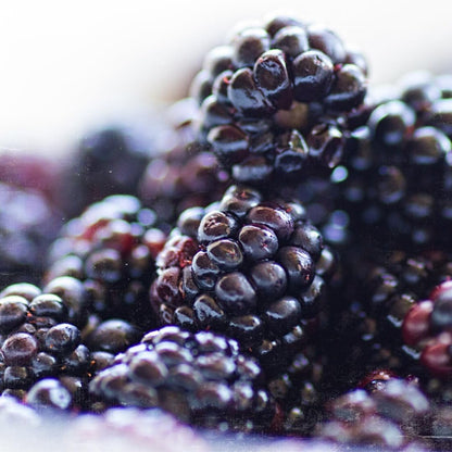Pure Original Ingredients Blackberry Fruit Extract – 8 oz (4:1 Powder)