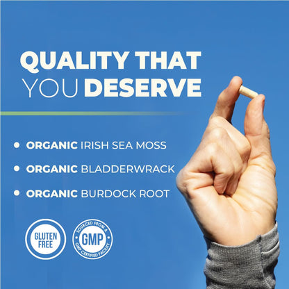 Irish Sea Moss Capsules – Organic Irish Sea Moss, Burdock Root & Bladderwrack 1300mg Complex | 90 Veggie Pills | 45-Day Supply