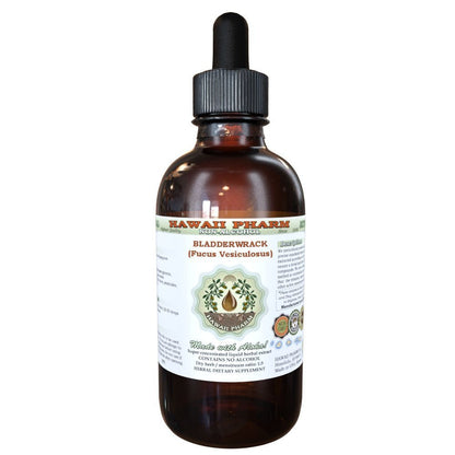 Bladderwrack Alcohol-Free Liquid Extract (Fucus Vesiculosus) – Hawaii Pharm Glycerite 2 oz