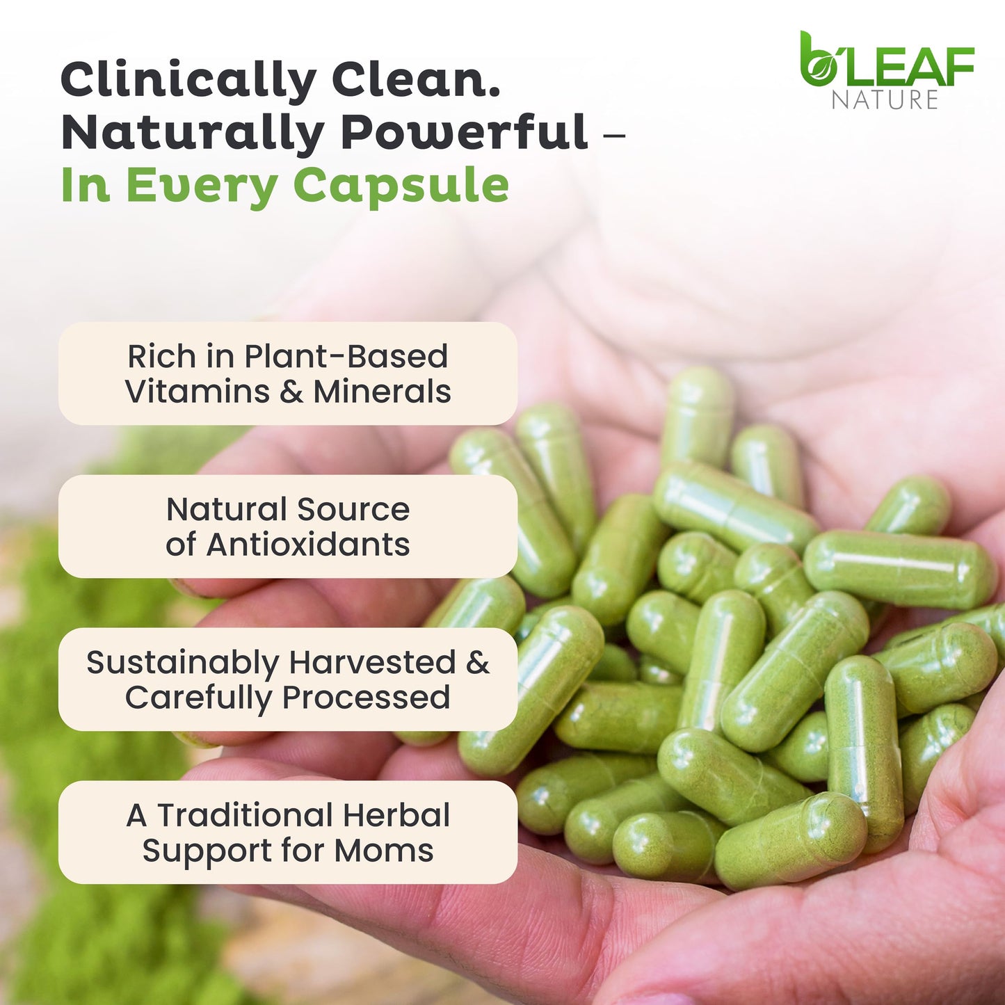 B’LEAF NATURE Organic Moringa Capsules 1000mg – 90 Count | Immune Support, Energy & Balance | Vegan, Non-GMO
