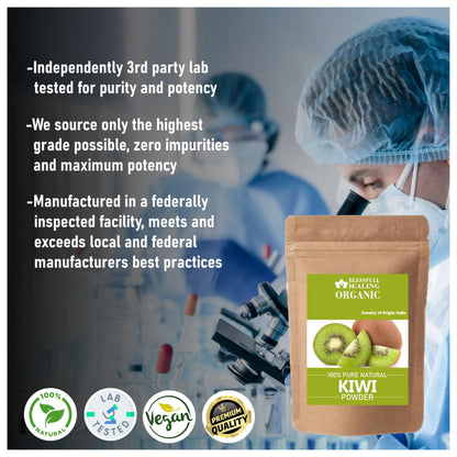 Blessfull Healing Organic Kiwi Powder - 100% Pure Natural, 100 g (3.52 oz)