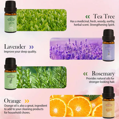 BlissfulBlend 8-Piece Pure Essential Oils Gift Set – Peppermint, Lavender, Eucalyptus & More
