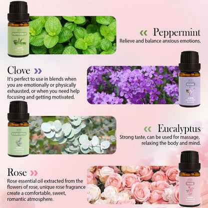 BlissfulBlend 8-Piece Pure Essential Oils Gift Set – Peppermint, Lavender, Eucalyptus & More