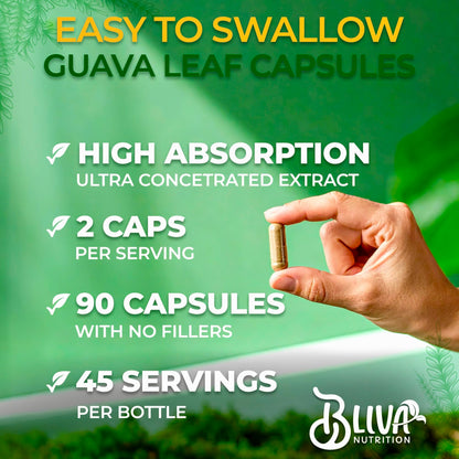BLIVA Guava Leaf Extract Capsules – 1000 mg (10:1) – 90 Vegetarian Capsules