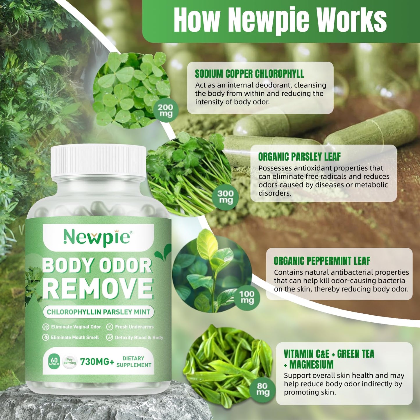 Blltzzz Body Deodorizing Supplement | Chlorophyll Capsules for Body Odor, Fresh Breath & Gut Odor Control – Vegan, Gluten Free, 60 Capsules (2)