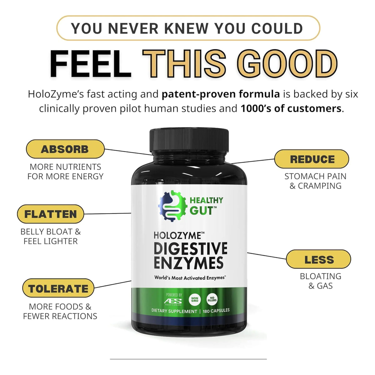 Healthy Gut HoloZyme Max Strength Digestive Enzymes | FODMAP Support with Inulinase, Amyloglucosidase & Invertase | 90 Servings BritishVita | Premium UK Vitamins & Wellness Supplements
