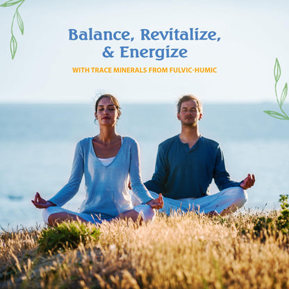 Vital Earth Minerals Detox & Wellness – Fulvic Humic Mineral Blend with 70+ Minerals, Electrolytes, 14 Liquid Pouches