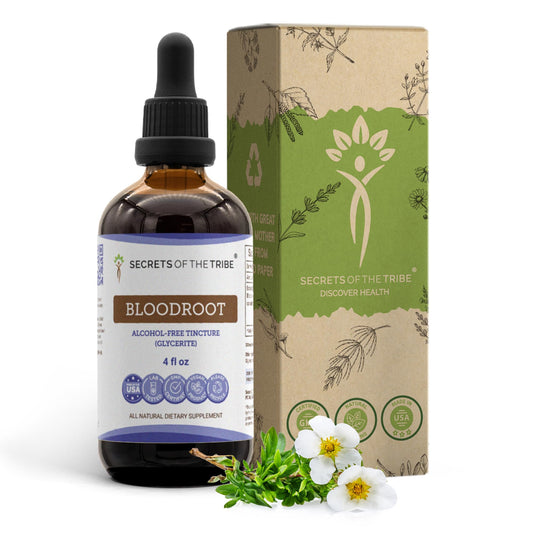 Secrets of the Tribe Bloodroot Alcohol-Free Tincture Extract – 4 fl oz BritishVita | Premium UK Vitamins & Wellness Supplements