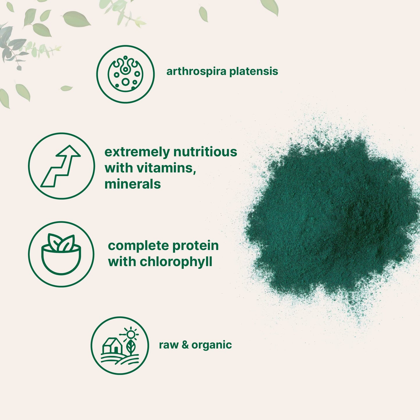 Micro Ingredients Organic Spirulina Powder 1lb | Vegan Protein & Chlorophyll