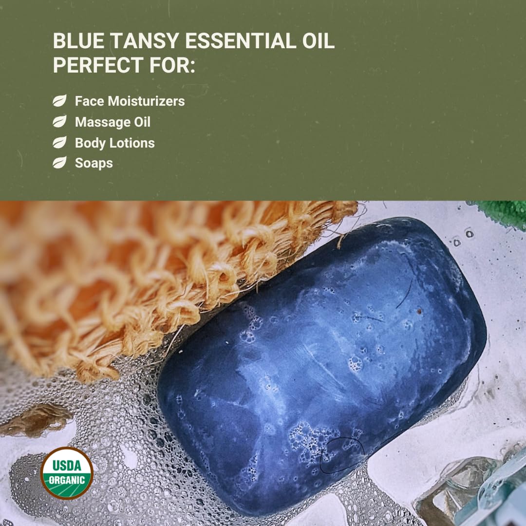 Organic Blue Tansy Essential Oil 5 mL – Malagassi Essential Oils | Face Oil, Candle & Soap Making