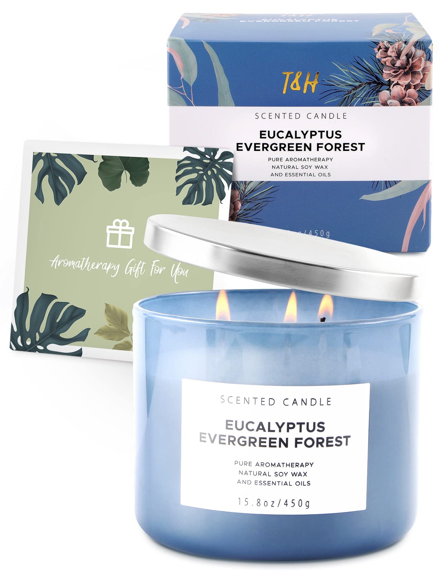 Eucalyptus Evergreen Forest 3-Wick Soy Candle – 15.8 oz | Winter Pine, Balsam Fir & Evergreen Scented