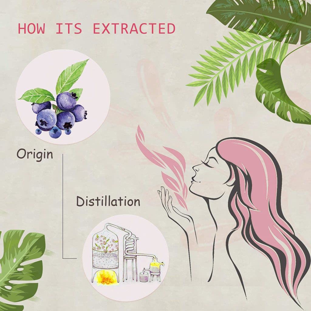 AOPING Blueberry Essential Oil - 100% Pure Organic Natural Plant (Cyanococcus) Blueberry Oil for Diffuser, Aroma, Spa, Massage, Yoga, Perfume, 0.33oz