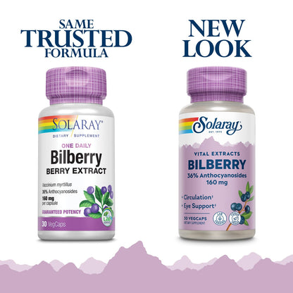 SOLARAY Bilberry Extract 160 mg – Eye Health & Circulation Support | 36% Anthocyanosides | Vegan