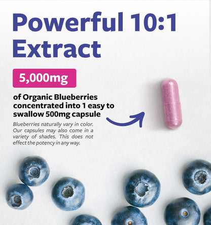 Certified Organic Blueberry Extract Capsules - 10:1 Potency, 2 Month Supply | Vegan, Non-GMO