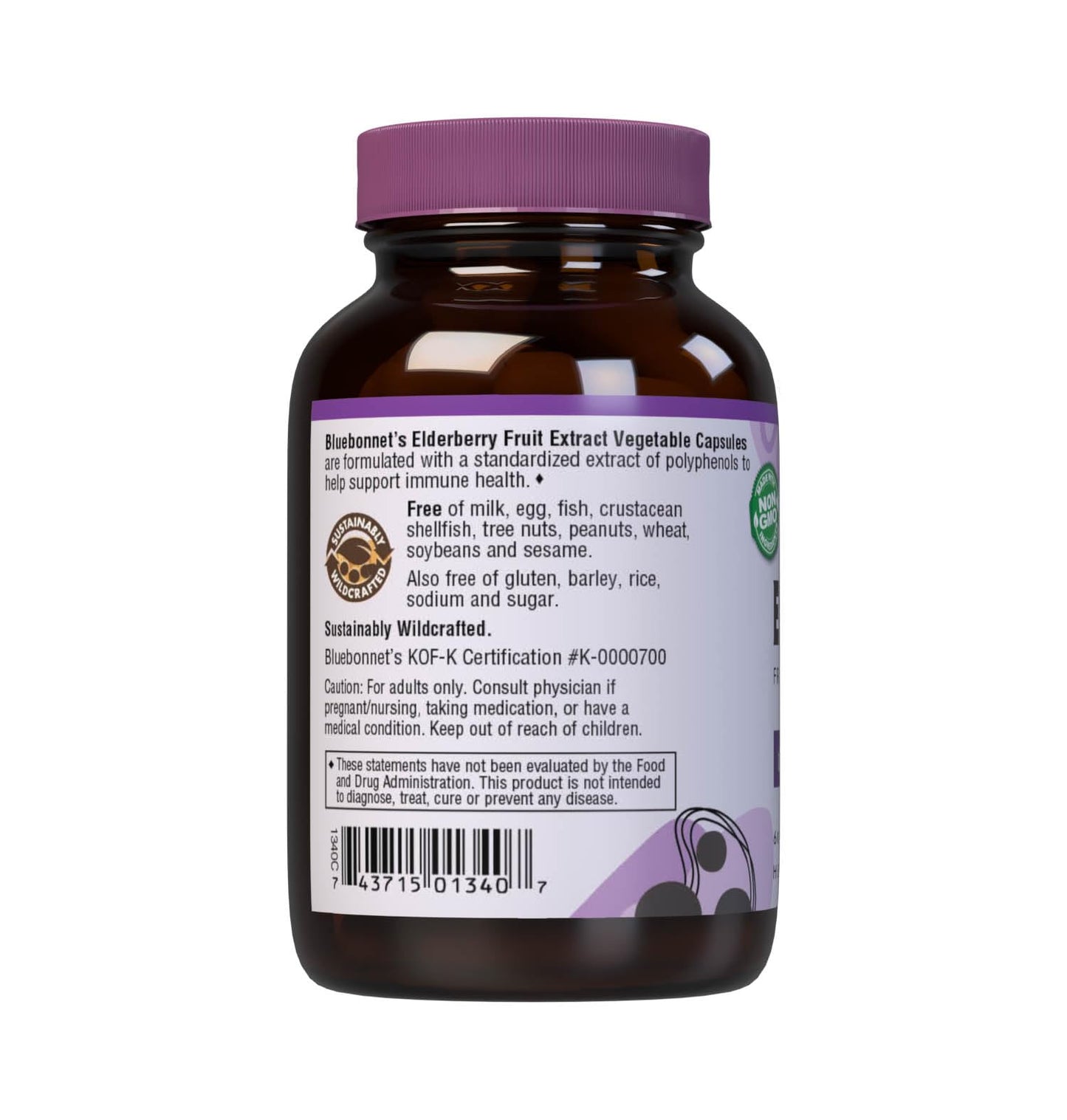 BlueBonnet Elderberry Fruit Extract Supplement, 60 Count – Immune Support, Vegan
