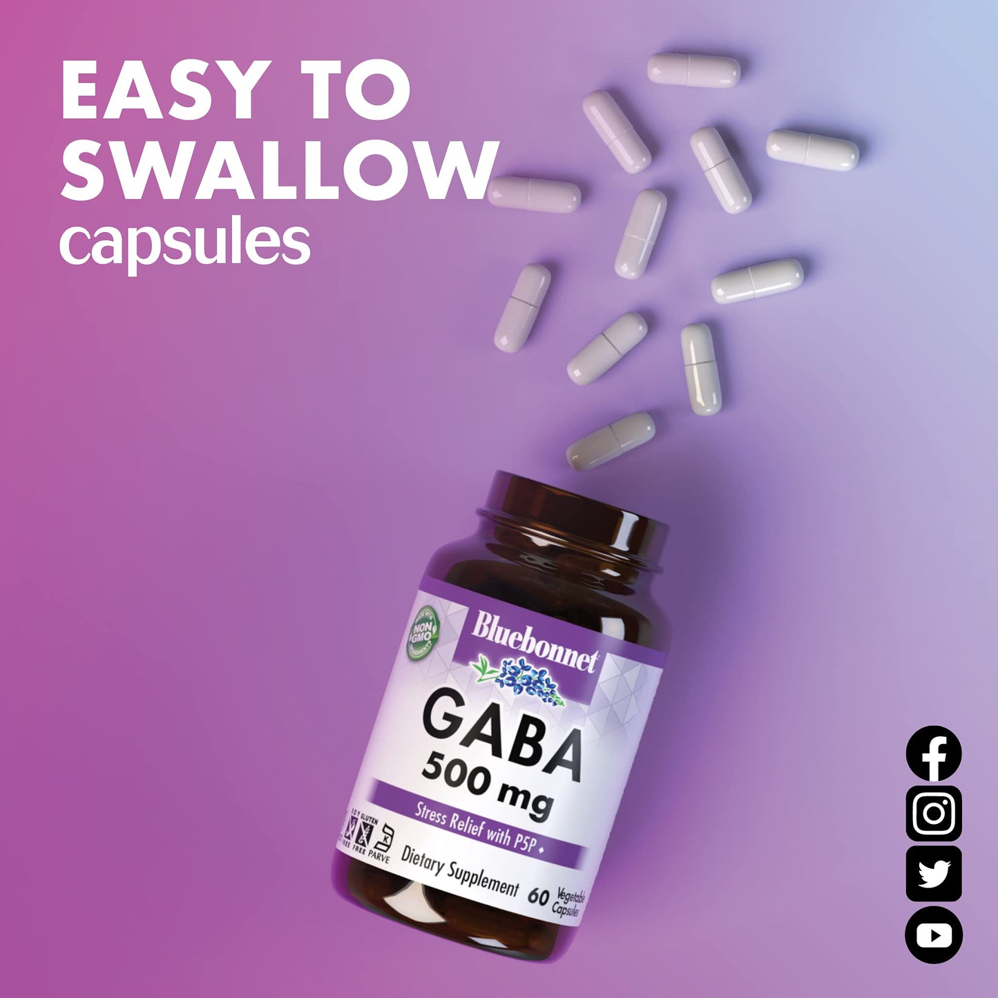 BlueBonnet GABA 500mg – Stress Relief & Relaxation | 60 Veg Capsules | Kosher, Vegan