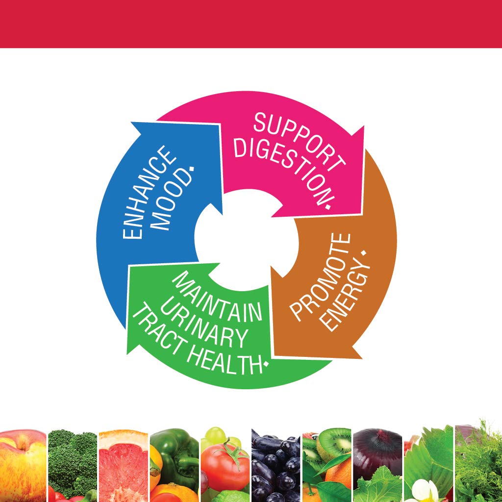 Bluebonnet Nutrition Ladies One Organic Vegetable Capsule – Whole Food Multivitamin with K2, 30 Count