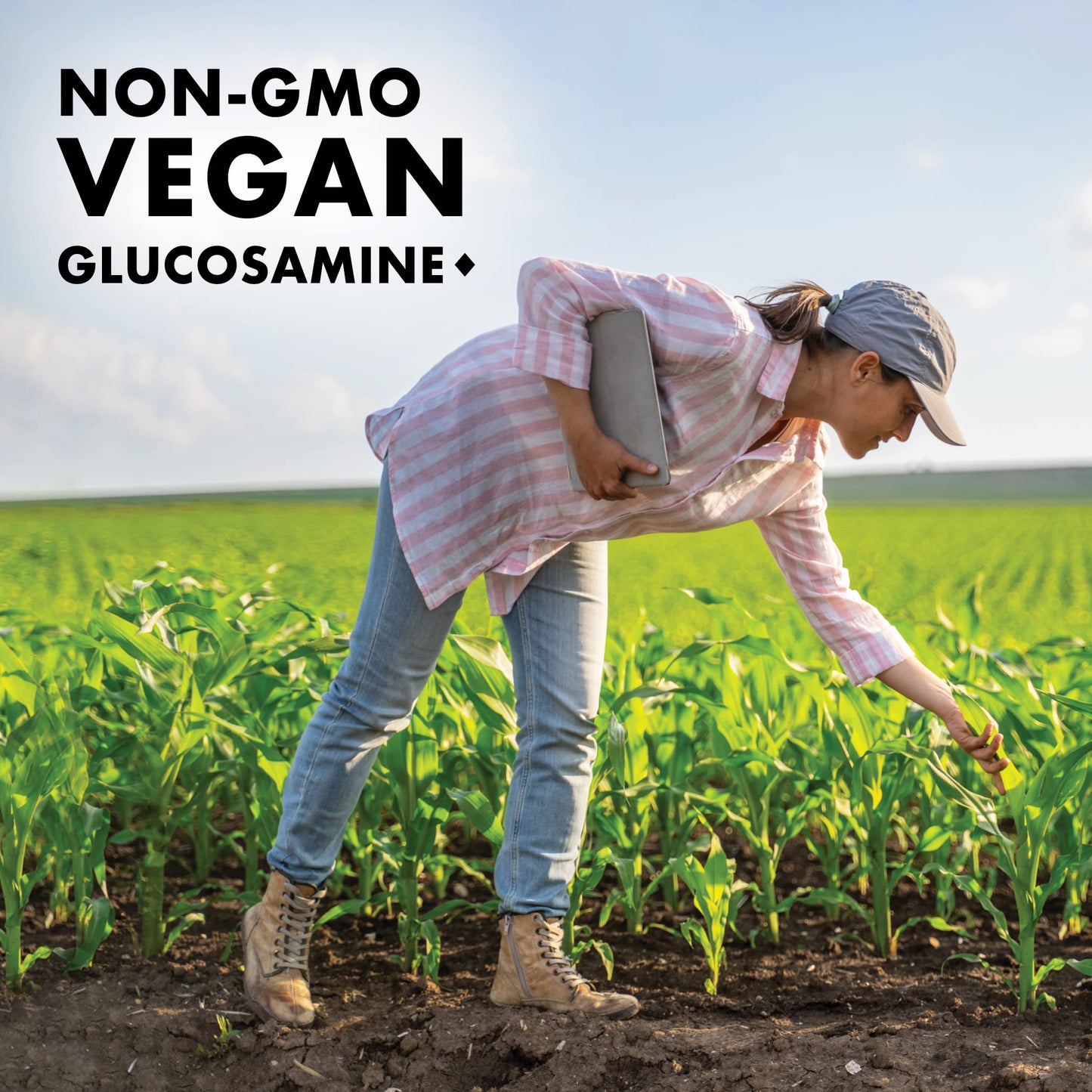 Bluebonnet Vegetarian Glucosamine with MSM HCl - Shellfish-Free Joint Support - 120 Veg Caps