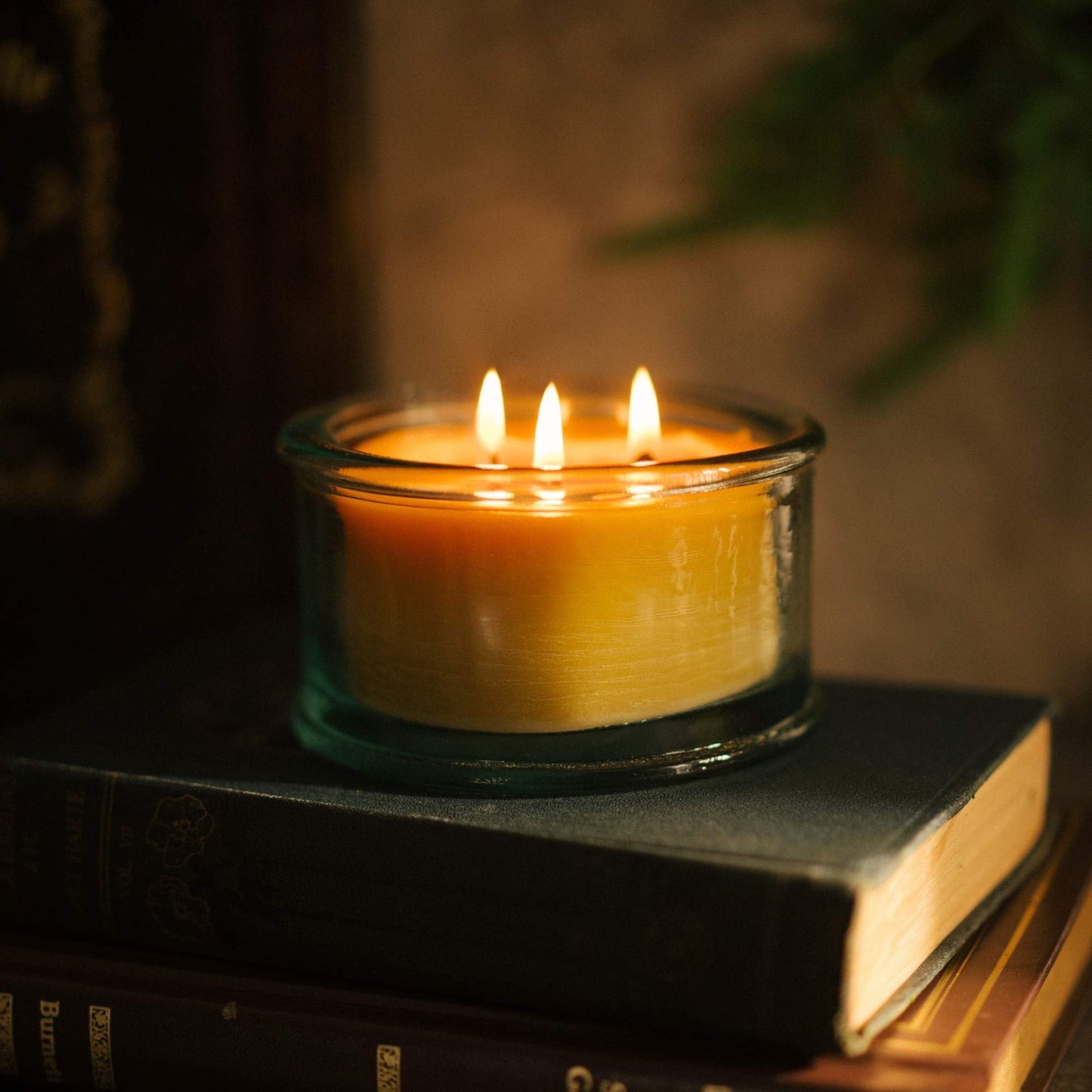 Bluecorn Beeswax 3-Wick Candle, Spruce Scent, 10 oz – Pure Beeswax, Clean Burning, American Made
