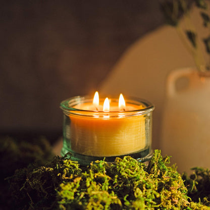 Bluecorn Beeswax 3-Wick Candle, Spruce Scent, 10 oz – Pure Beeswax, Clean Burning, American Made