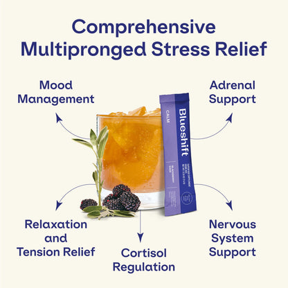 Blueshift Stress Relief Drink Mix - Blackberry Sage (Zero-Sugar, 10 ct) with Ashwagandha, L-Theanine & GABA