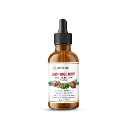 Blushwood Berry EBC-46 Tincture – Immune & Cell Defense (120ml) – Alcohol-Free, Vegan
