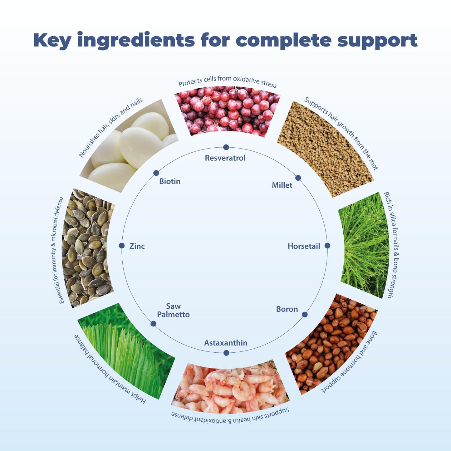 BM10 Max Boron Supplement – Hair, Skin & Nails | Michelle Peiret | 60 Veg Caps