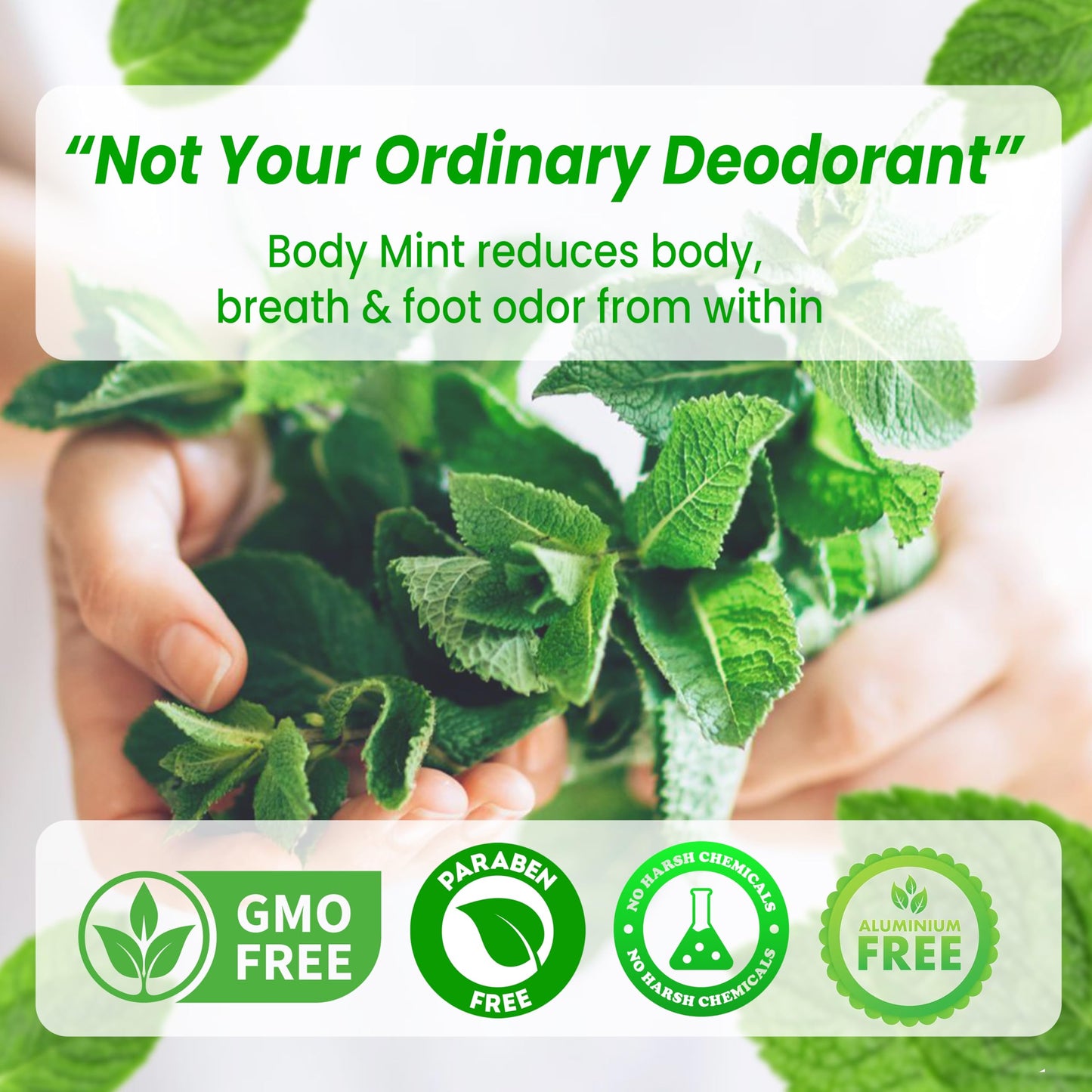 Body Mint Original - Chlorophyll Deodorizing Supplement for Full-Body Freshness
