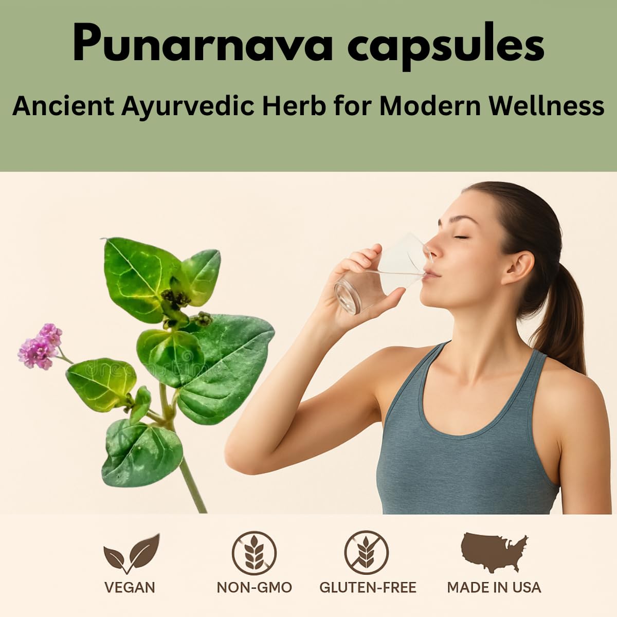 Morsan Healthcare Punarnava Capsules 500mg – 60 Veg Capulses | Kidney & Liver Support