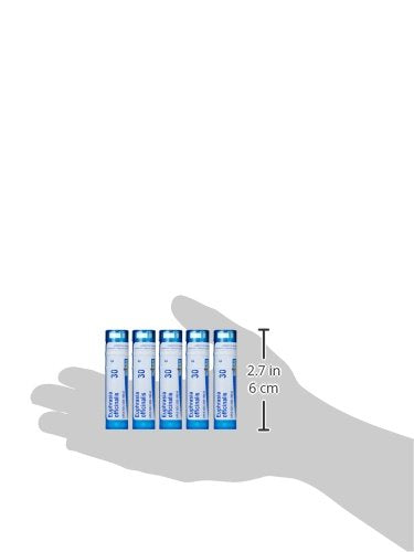Boiron Euphrasia Officinalis 30C (Pack of 5) – Eye Discharge Homeopathic Medicine