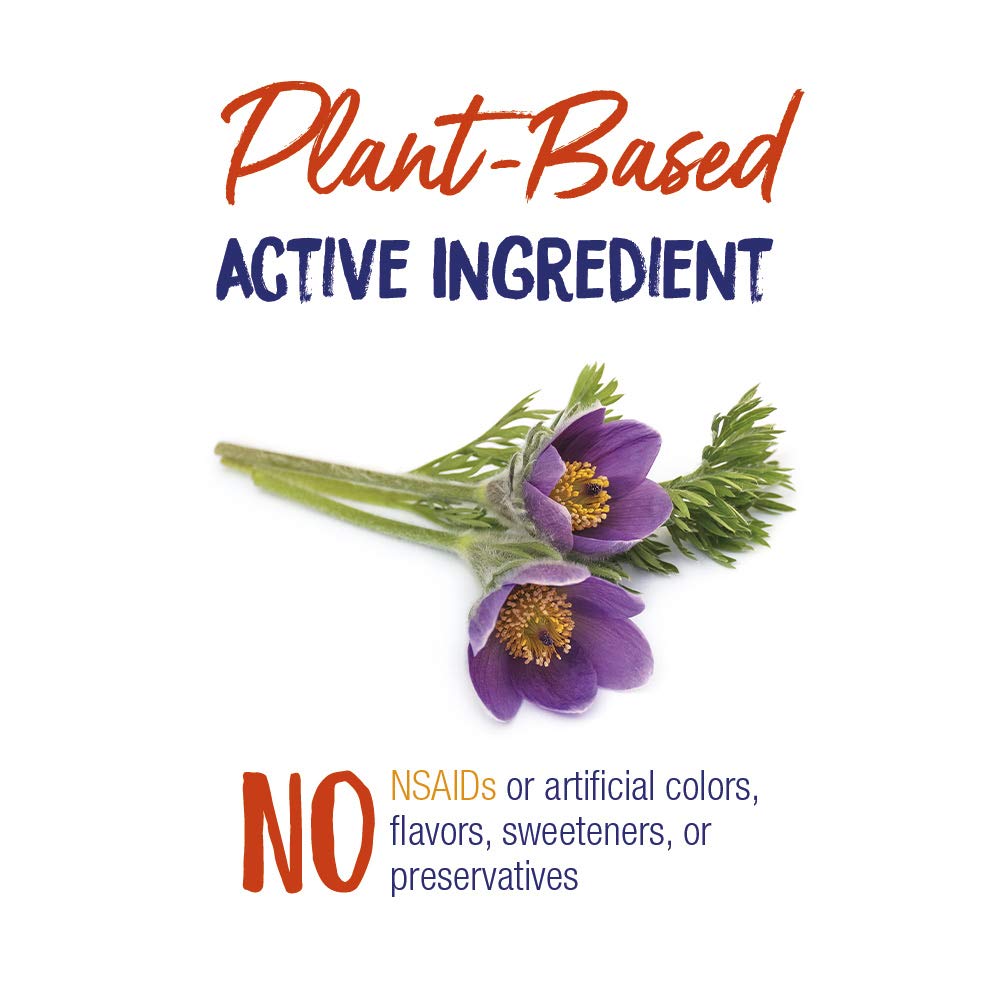 Boiron Pulsatilla 30C Cold & Congestion Relief Pellets - 240 Pellets