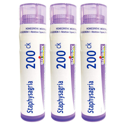 Boiron Staphysagria 200CK – Homeopathic Medicine for Itching of Surgical Wounds (Pack of 3, 240 Pellets)