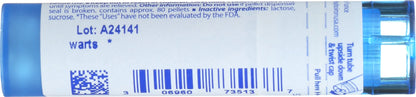 Boiron Thuja Occidentalis 30C 80 Count Multi Dose Tube