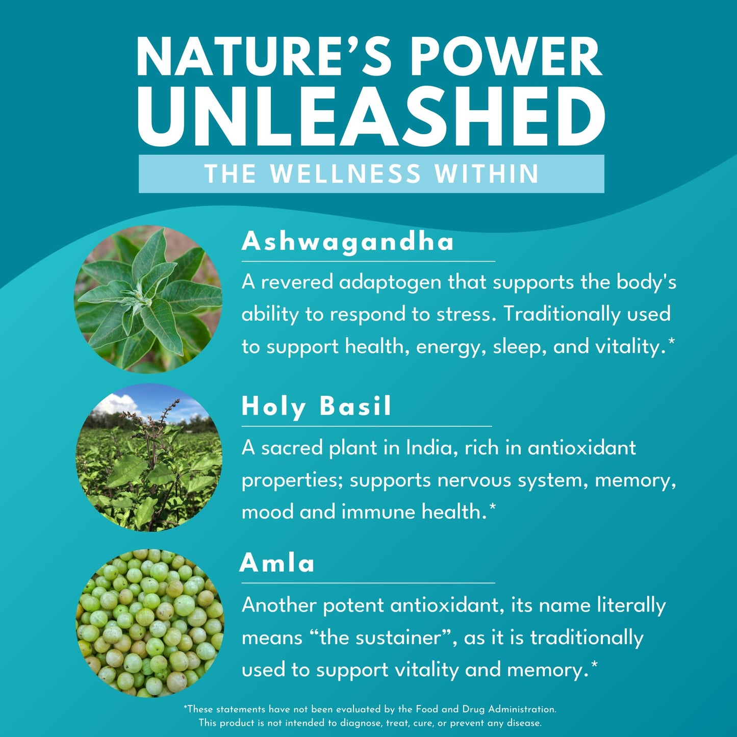 Bold Botanica Ashwagandha Plus – Stress, Mood, Memory & Energy Support | Triple Adaptogenic Formula | 30 Vegan Caps