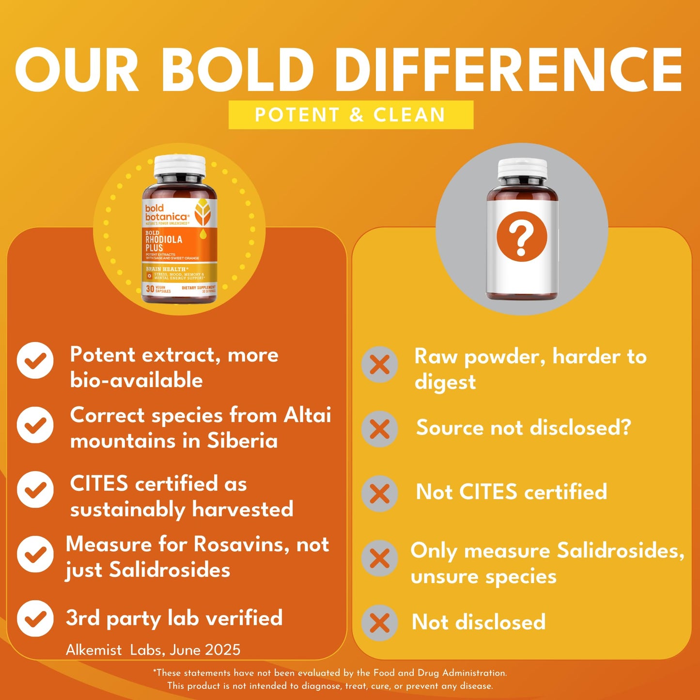 Bold Rhodiola Plus | Siberian Rhodiola Rosea Extract (3% Rosavins, 1% Salidroside) | Adaptogen Supplement