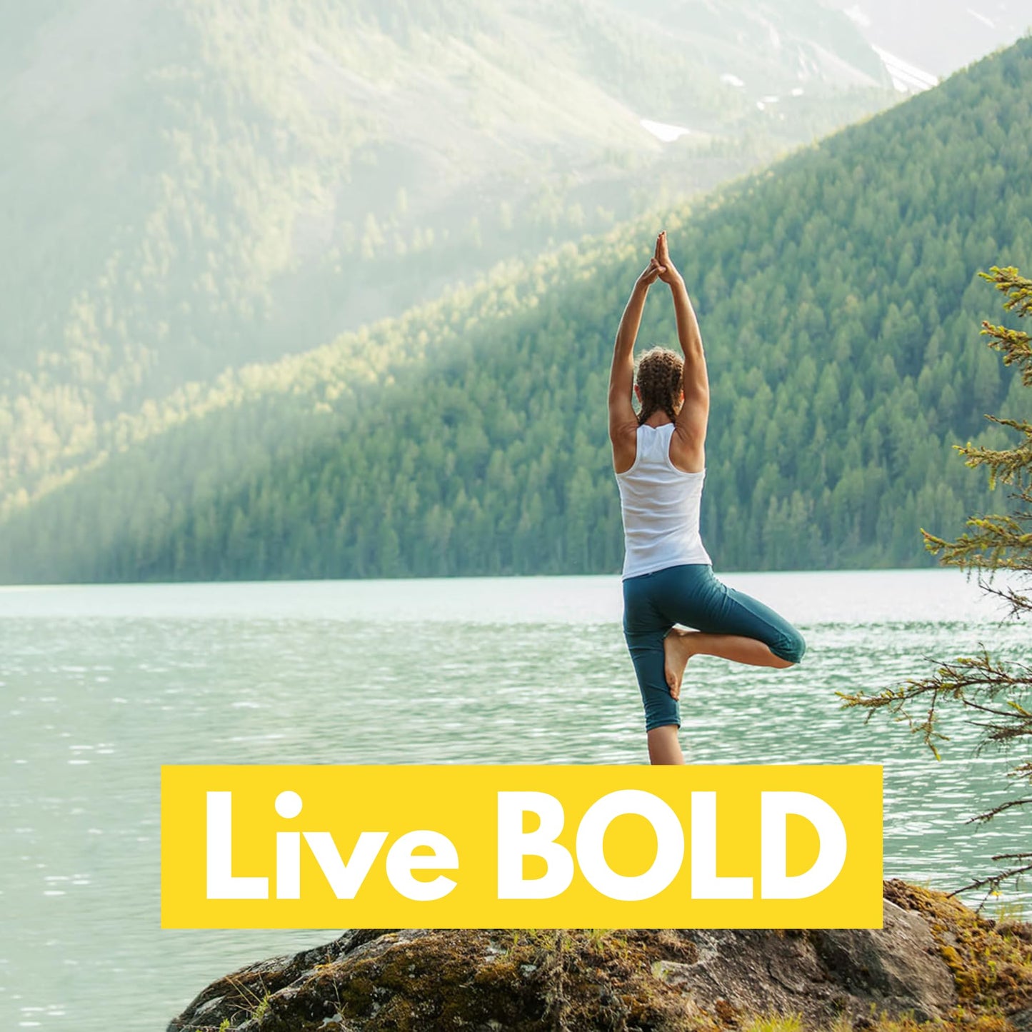 Bold Rhodiola Plus | Siberian Rhodiola Rosea Extract (3% Rosavins, 1% Salidroside) | Adaptogen Supplement