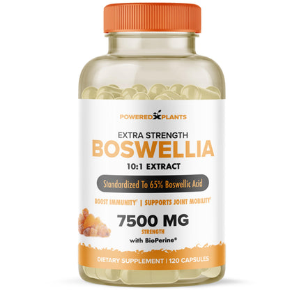 Boswellia Serrata Extract Joint Support – Powered by Plants | 65% Boswellic Acids + BioPerine | 120 Vegan Capsules