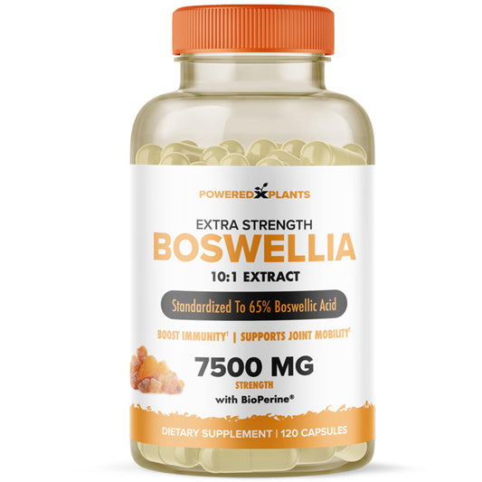 Boswellia Serrata Extract Joint Support – Powered by Plants | 65% Boswellic Acids + BioPerine | 120 Vegan Capsules BritishVita | Premium UK Vitamins & Wellness Supplements