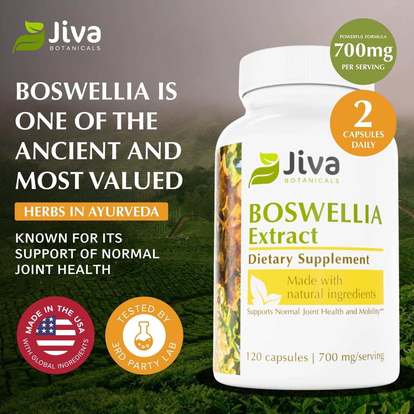 Jiva Botanicals Boswellia Extract Capsules 700mg per Serving – Joint Health Support with Black Pepper (BioPerine) – 120 Vegan Capsules