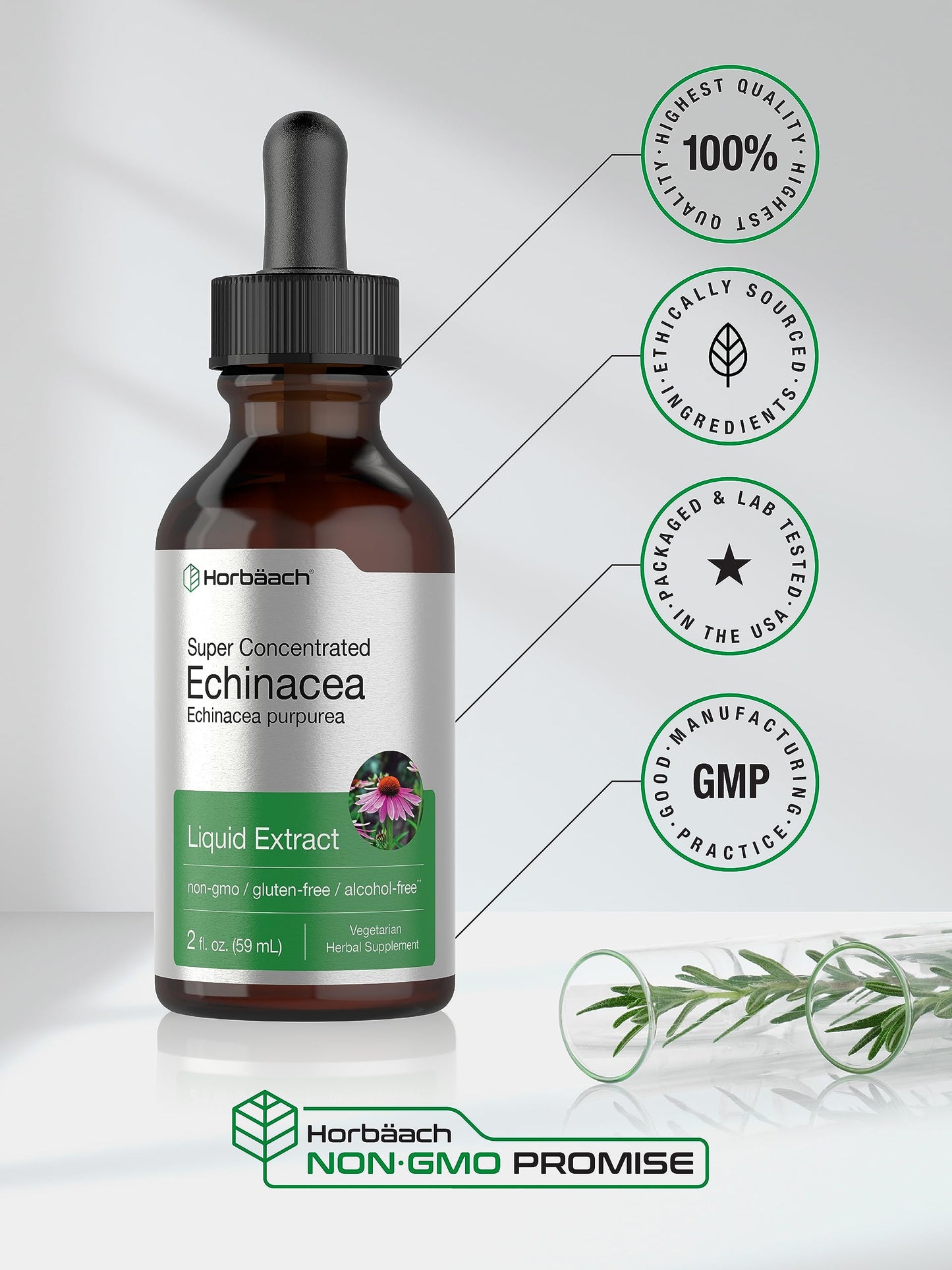Horbaach Echinacea Drops Tincture - 2 fl oz | Alcohol-Free, Vegetarian, Non-GMO & Gluten Free