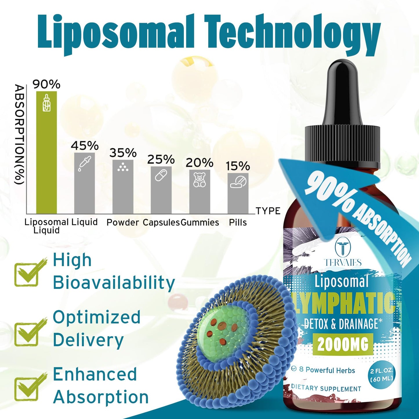Liposomal Lymphatic Drops – Herbal Blend with Elderberry & Echinacea (2 FL OZ)