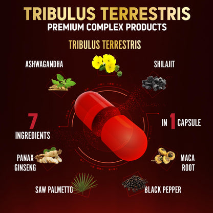 Tribulus Terrestris Capsules with Ashwagandha, Panax Ginseng, Saw Palmetto, Maca, Shilajit — 90 Capsules (3-Month Supply)